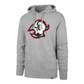 Gray hoodie with a red and black logo on a white background